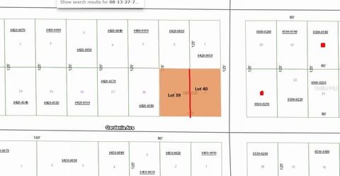 336 GARDENIA AVENUE GEORGETOWN FL 32139