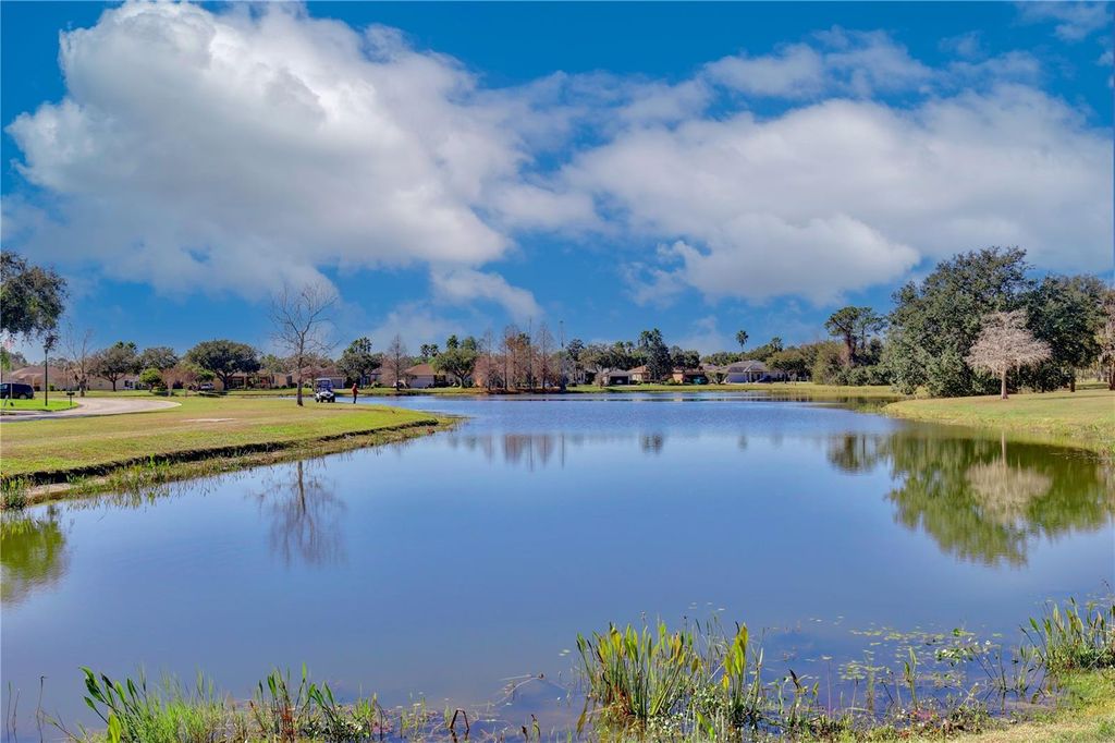 Photo of 217 Lake Cassidy Drive, Kissimmee, FL 34759 (MLS # S5142076)