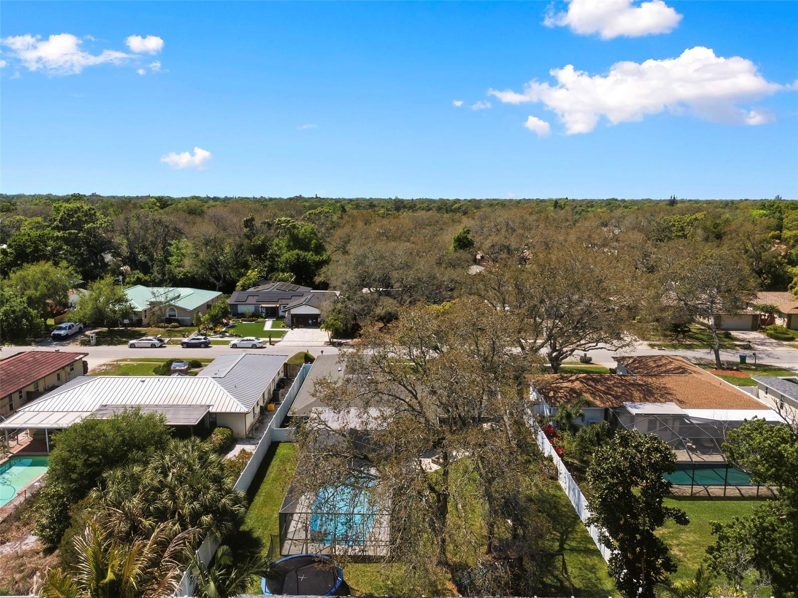 SEMINOLE TRAIL ESTATES - Residential