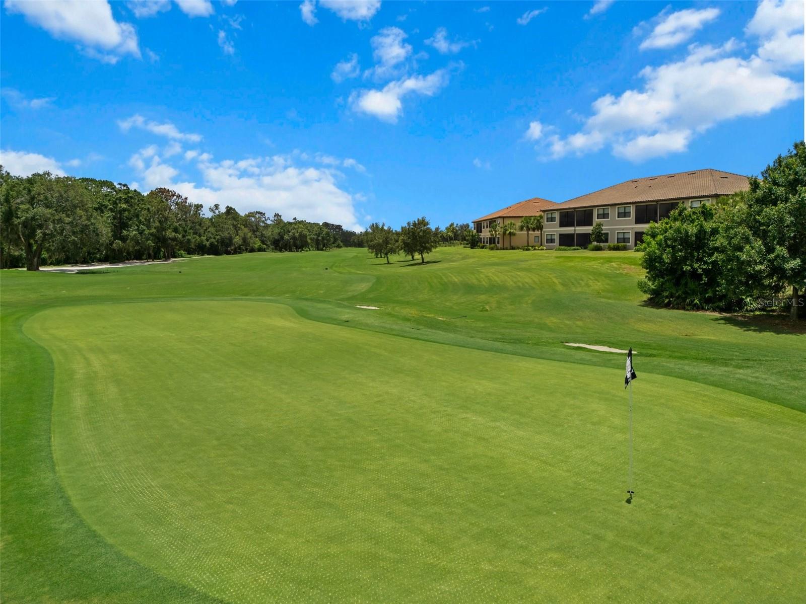BACCIANO IV AT ESPLANADE LAKEWOOD RANCH - Residential