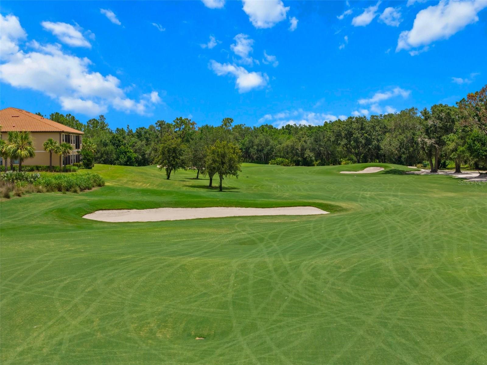 BACCIANO IV AT ESPLANADE LAKEWOOD RANCH - Residential
