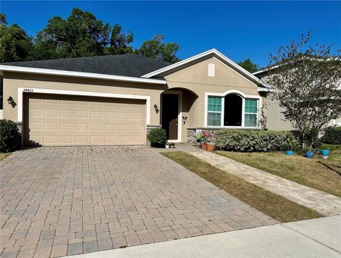 34423 ALAMEDA DRIVE SORRENTO FL 32776
