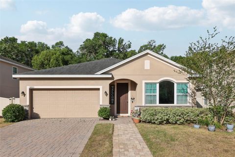 34423 ALAMEDA DRIVE SORRENTO FL 32776