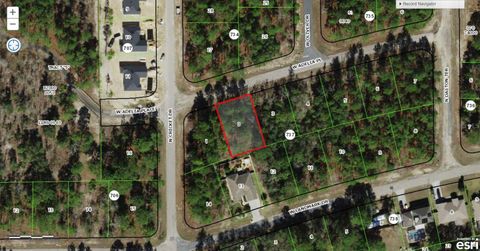 Tiny photo for 1948 W Adelia Place, Citrus Springs, FL 34434 (MLS # O6421474)