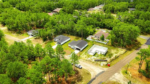 Tiny photo for 1948 W Adelia Place, Citrus Springs, FL 34434 (MLS # O6421474)
