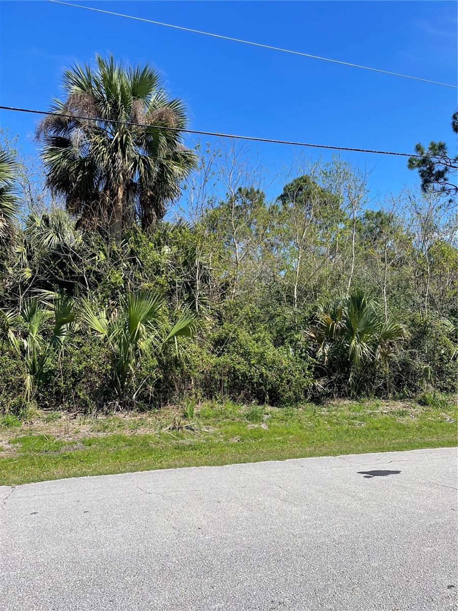 MATANZAS WOODS - Land