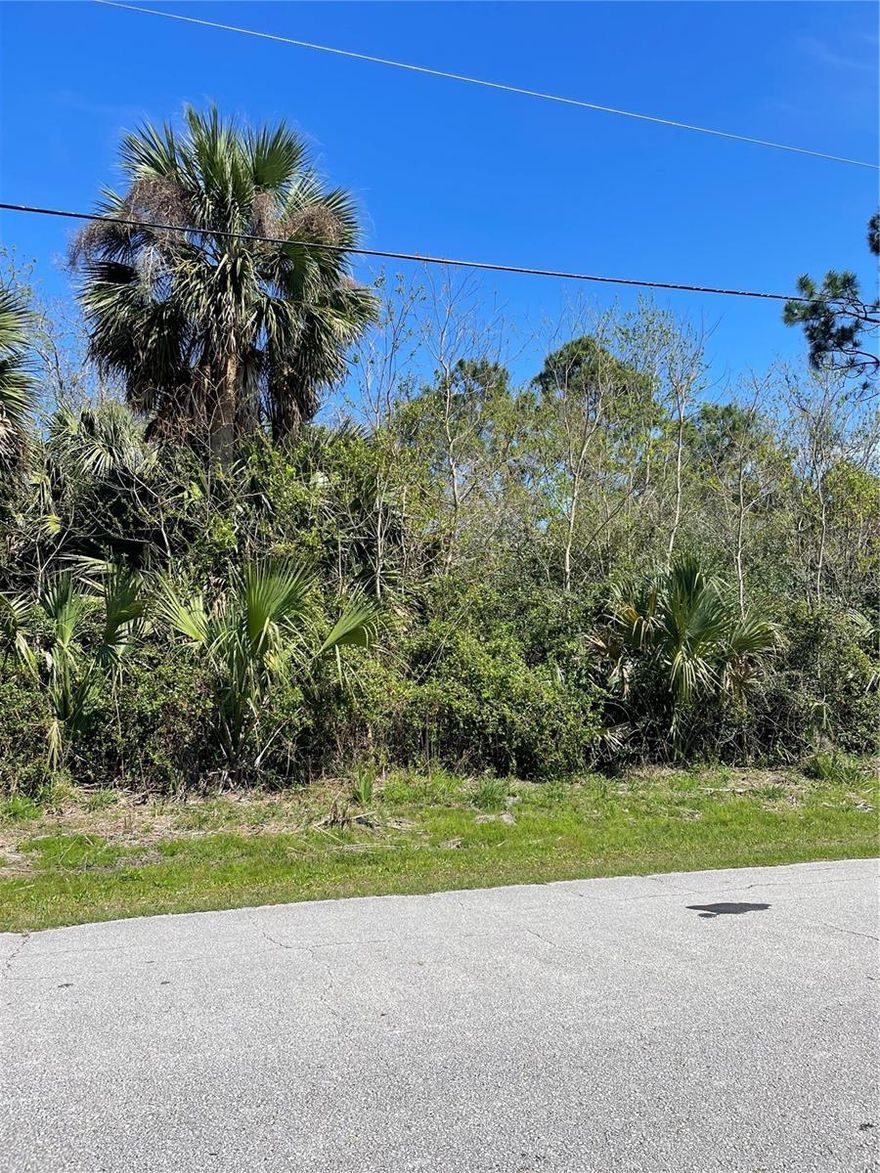 Build your dream home on this single family residential lot in an established Palm Coast neighborhood. Just minutes from I-95 and Route 1. You are a short drive from St. Augustine and Flagler Beach.  There is no build time, gives you time to pick the perfect home.
