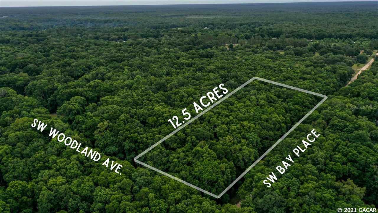 BEAUTIFUL NORTH FLORIDA LAND WITH NO HOA FOR SALE! This stunning 12.5 acre corner lot has paved road frontage and is ready for your site built home. This property is located in a prime spot being in walking distance of the beautiful natural spring at Rum island where you can take your friends and family to enjoy and stay cool all summer. You''re also within minutes of multiple boat ramps where you can unload your boat or kayaks and go up and down the Santa Fe river where you can fish, bank up and swim in multiple springs, see the abundance of wildlife, and even go to where the Ichetucknee river flows into the Santa Fe and swim in the crystal clear waters of the famous Ichetucknee river and even see the occasional manatee. Enjoy country living while not being far away from the city, this property is less then 10 minutes to High Springs and less then 40 to Gainesville where you can enjoy a variety of activities. Don''t miss your chance to buy this amazing piece of property! Open Builder.