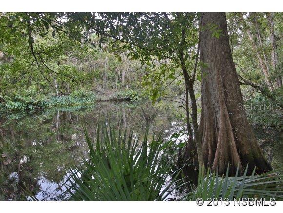 Spruce Creek - Residential