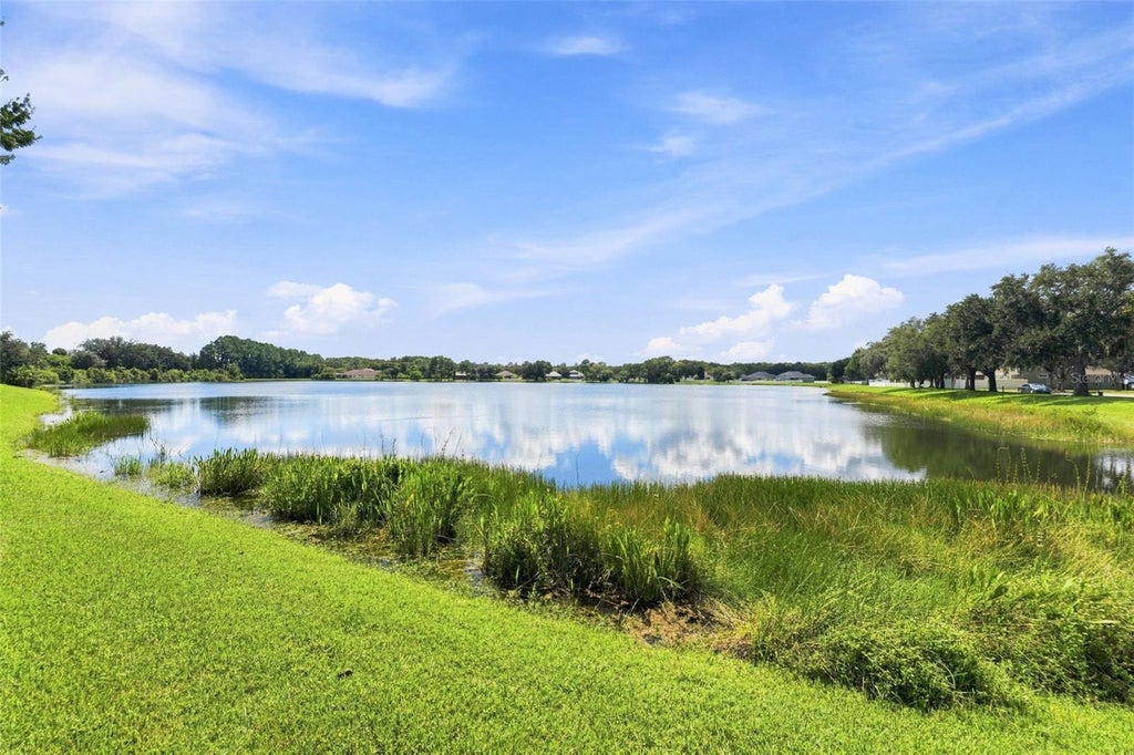 Photo of 18022 Lake Reflections Boulevard, Lutz, FL 33558 (MLS # TB8545365)