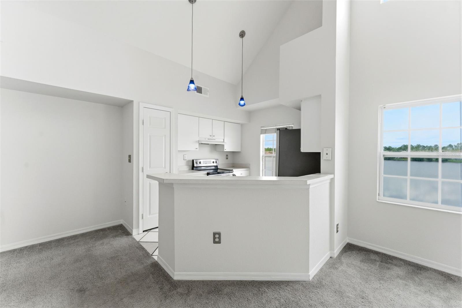 LAKE CHASE CONDO - Residential