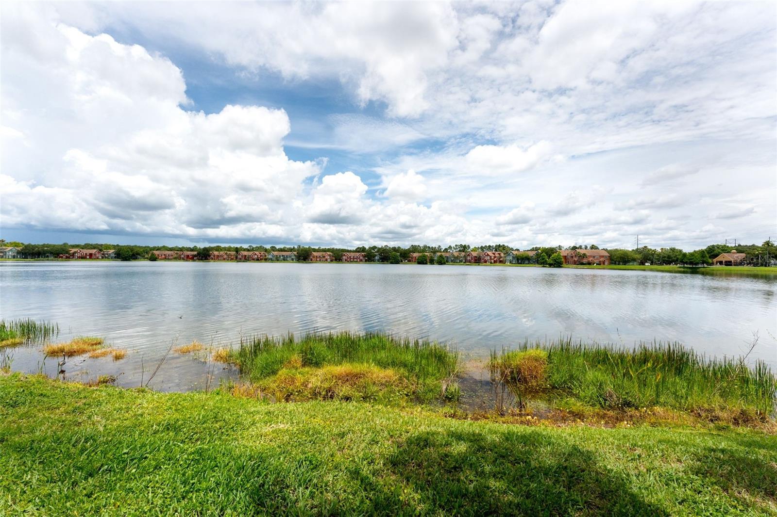 LAKE CHASE CONDO - Residential