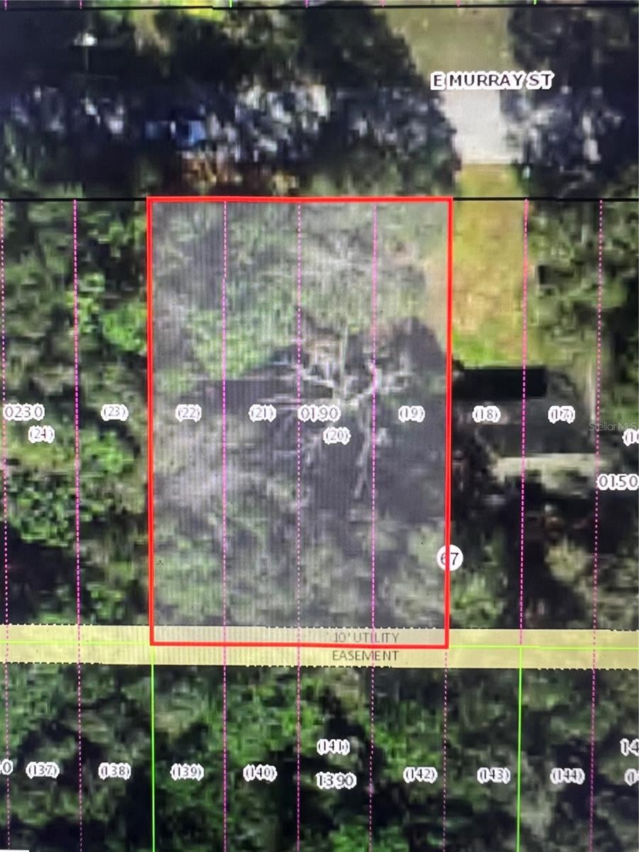 Photo of 3404 E Murray Street, Inverness, FL 34453 (MLS # W7886655)