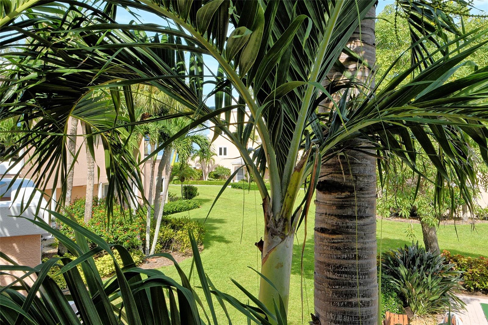 SAND CAY - Residential