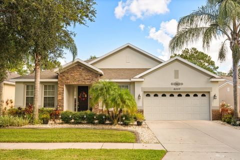 Photo of 2237 Osprey Woods Circle, Orlando, FL 32820 (MLS # O6314017)