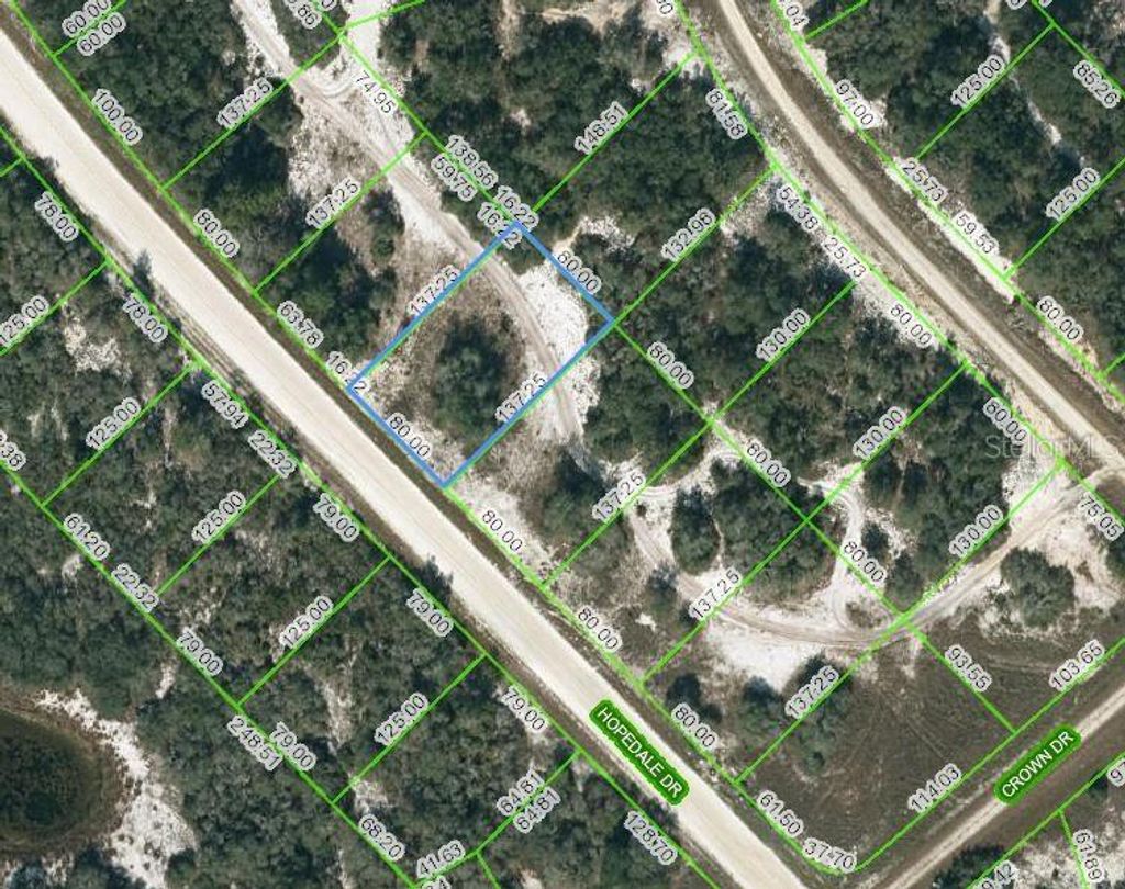 Photo of 269 Hopedale Drive, Lake Placid, FL 33852 (MLS # OM623423)
