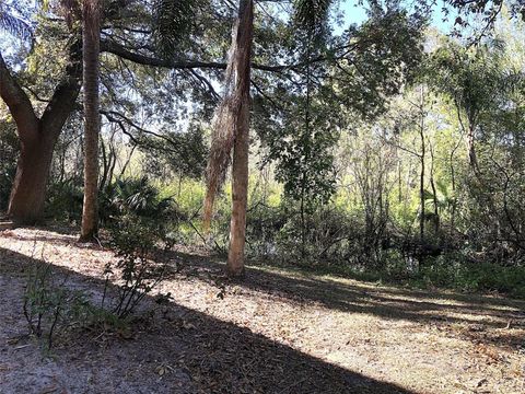 A home in KISSIMMEE