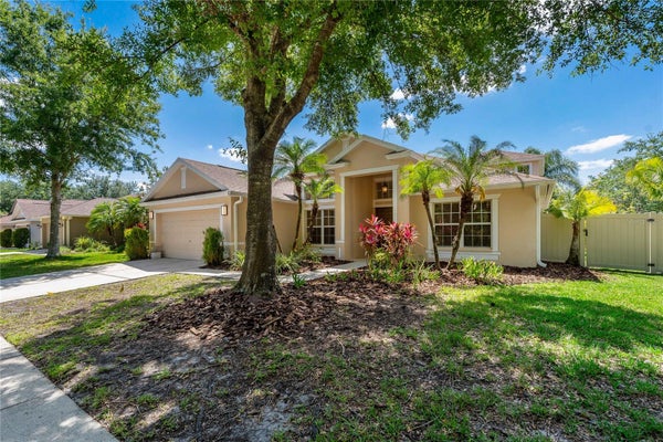 8211 CANYON CREEK WAY, TAMPA, FL 33647 - Image 4d3d742b6744e589acaa6e02141dd30f/314731746
