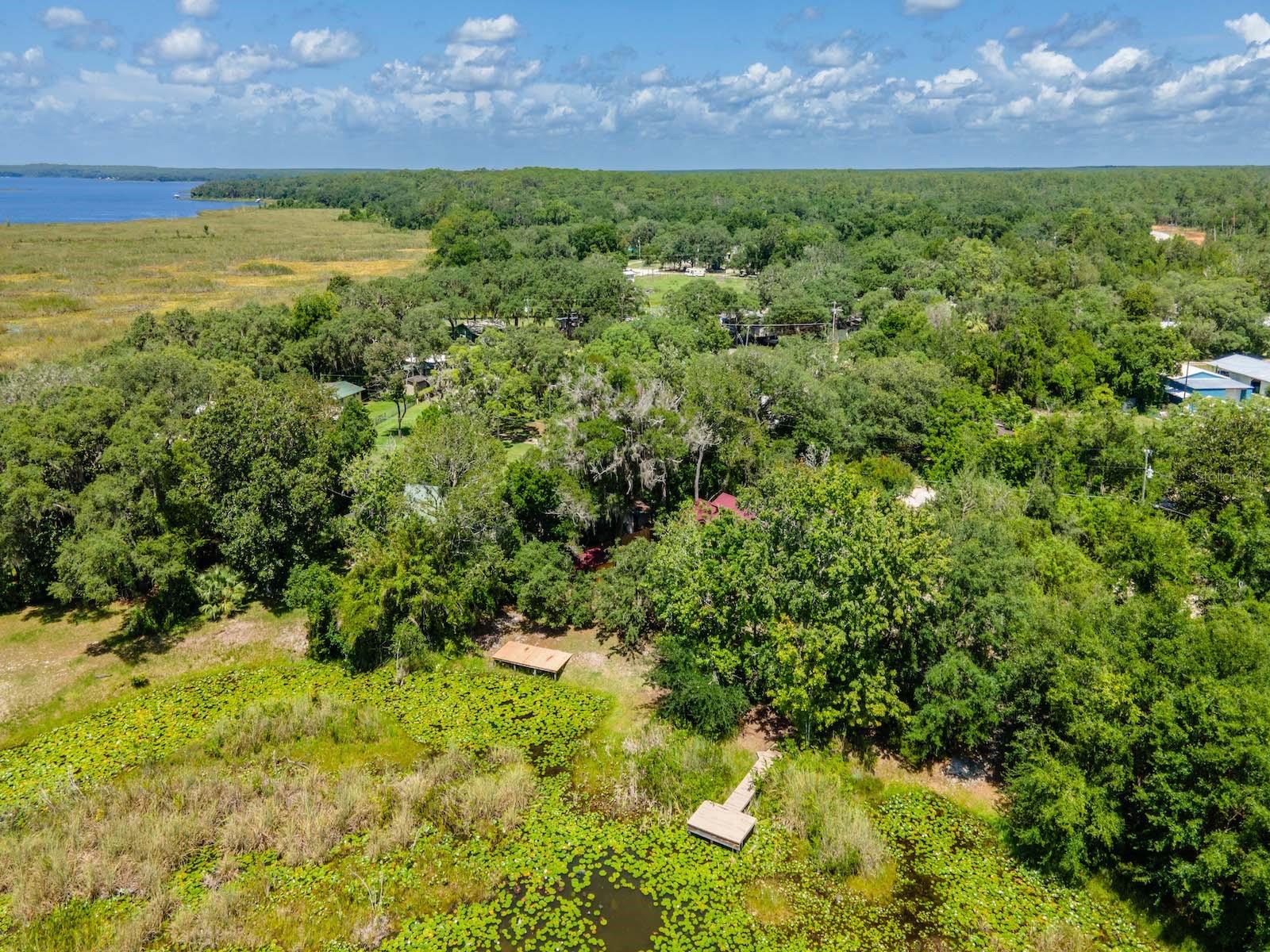 SHERWOOD FOREST - Residential