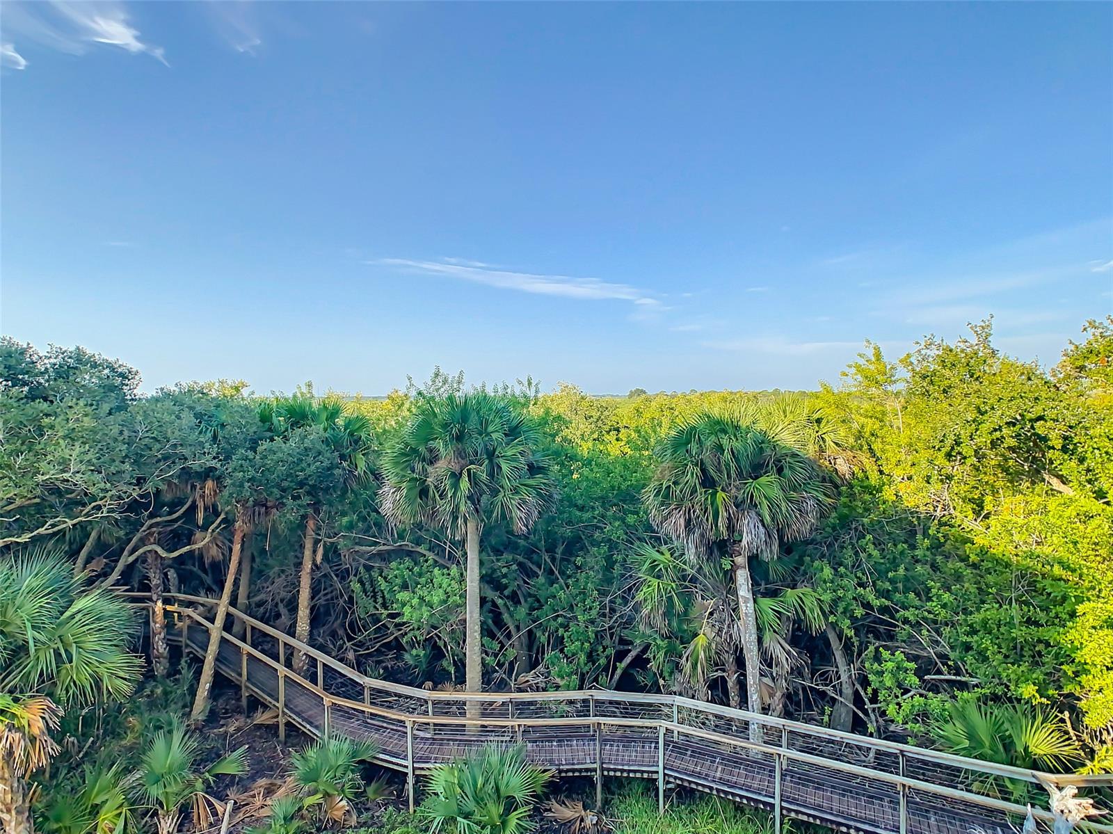 Ocean Walk Condo At Nsb - Residential