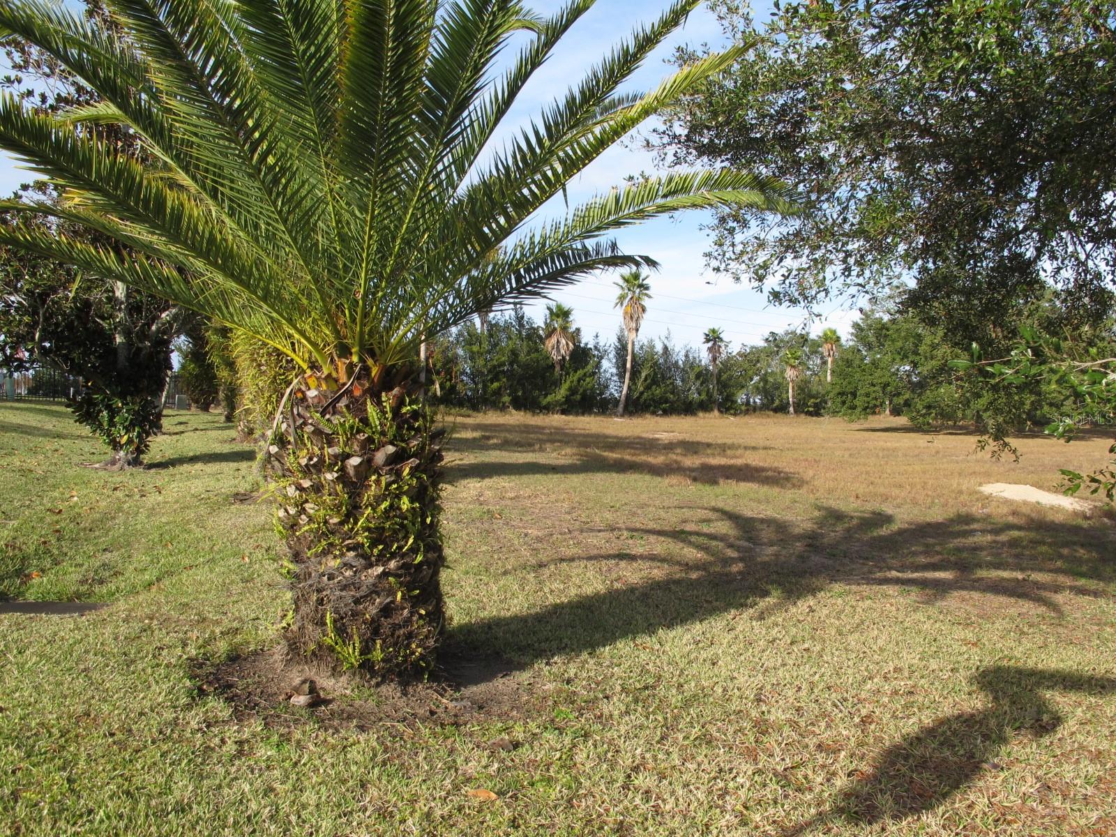 GARDEN CITY PH 1-D - Land