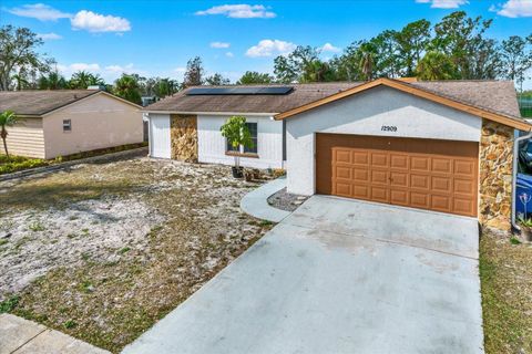 A home in RIVERVIEW