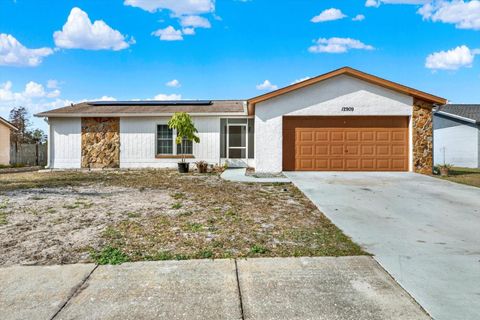 A home in RIVERVIEW