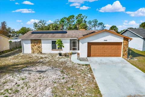 A home in RIVERVIEW