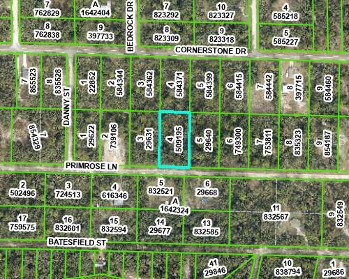 RIDGE MANOR ESTATE - Land