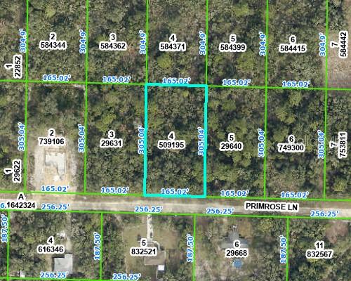 RIDGE MANOR ESTATE - Land