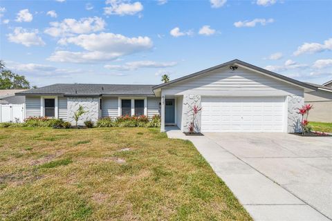 507 HAMMOCK DRIVE PALM HARBOR FL 34683