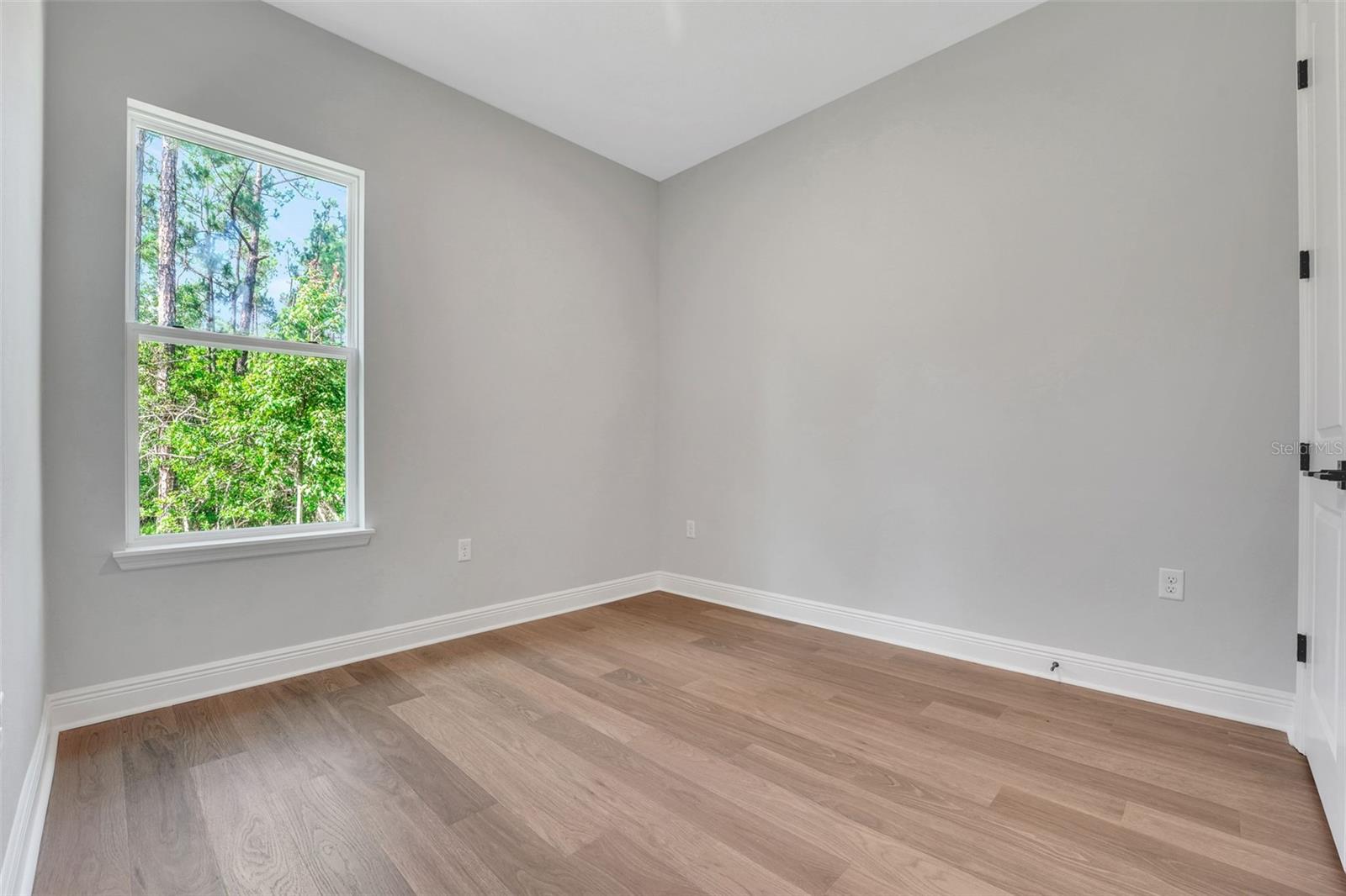 PALMS AT WINDERMERE - Residential