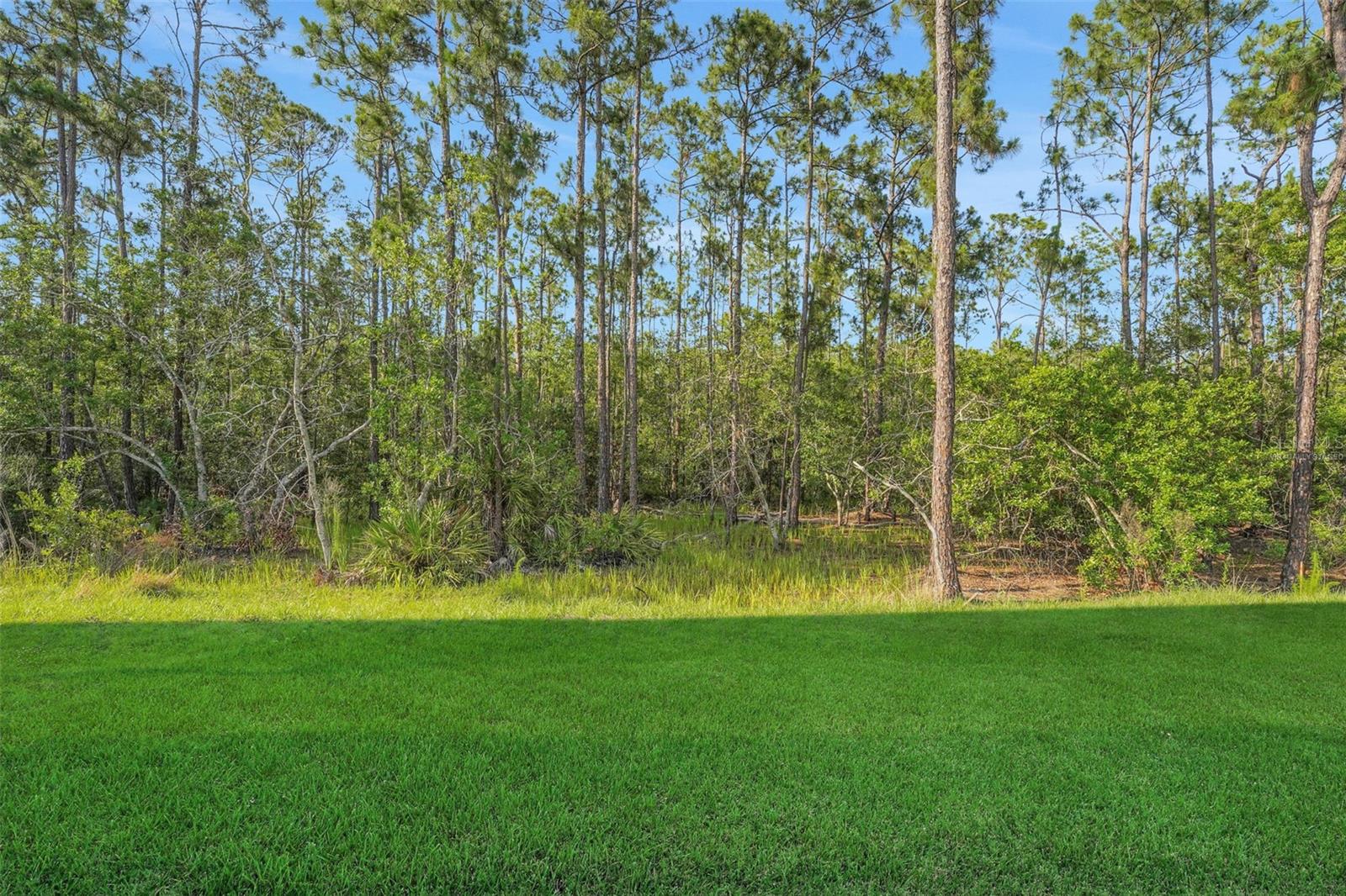 PALMS AT WINDERMERE - Residential