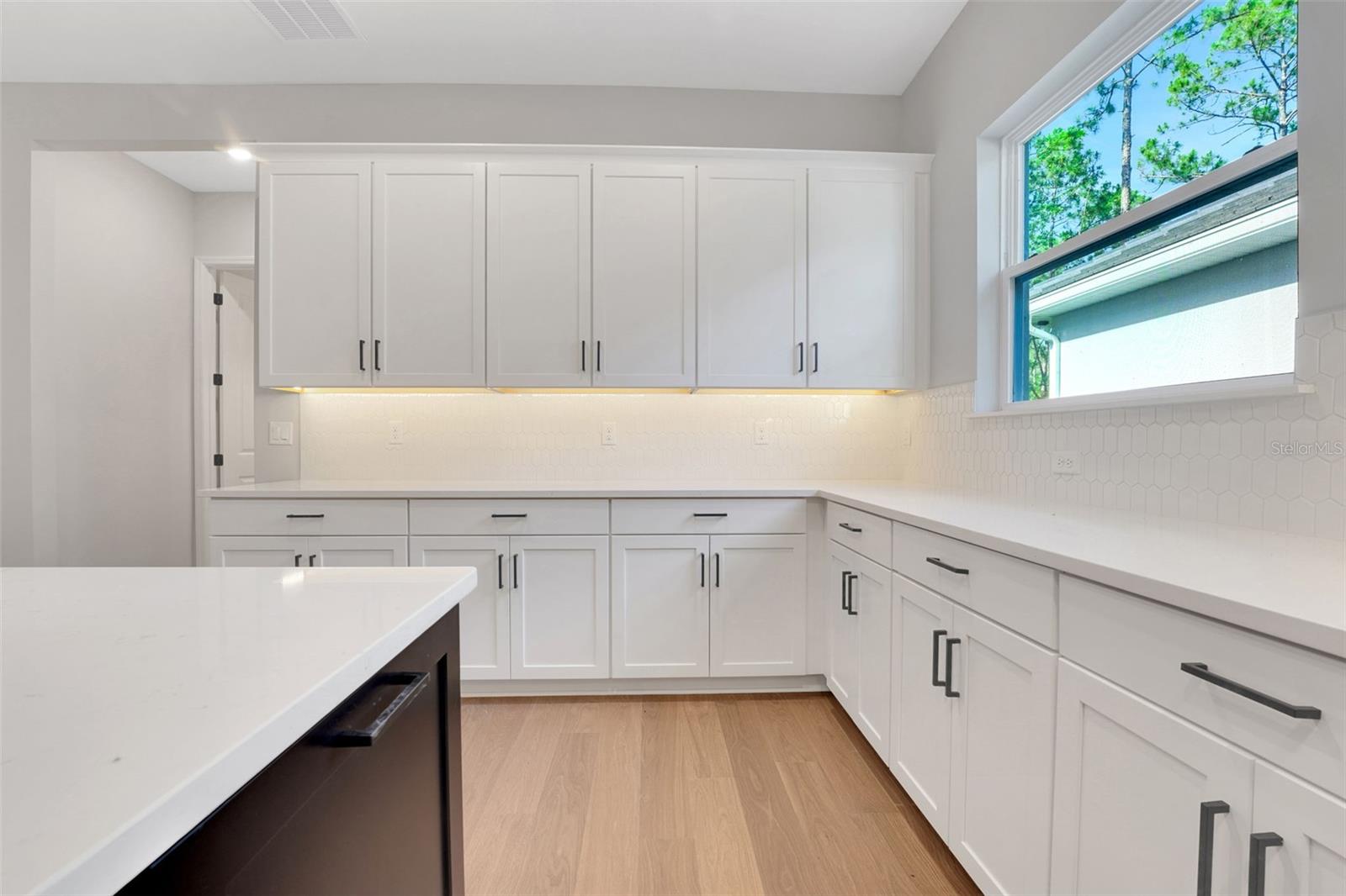 PALMS AT WINDERMERE - Residential