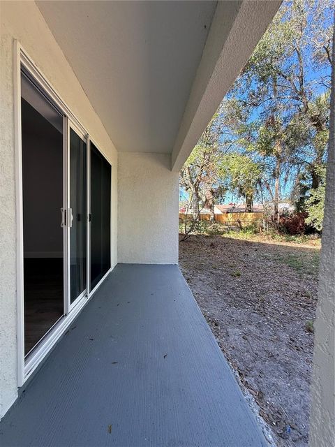 A home in MOUNT DORA