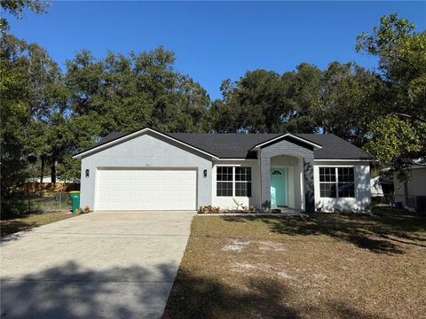 A home in MOUNT DORA