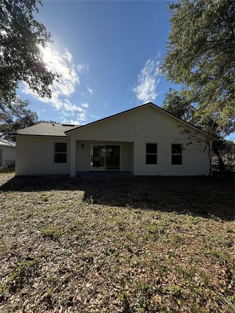 A home in MOUNT DORA