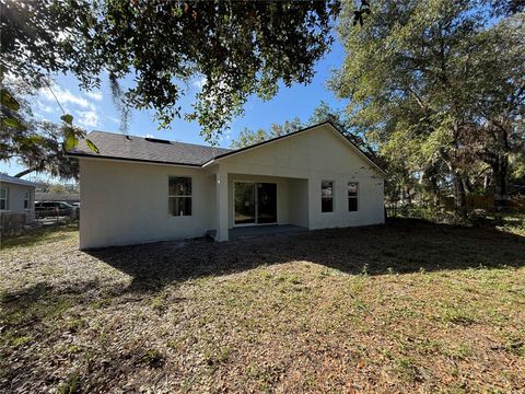 A home in MOUNT DORA