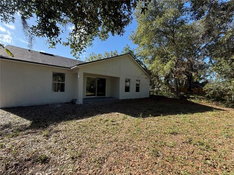 A home in MOUNT DORA