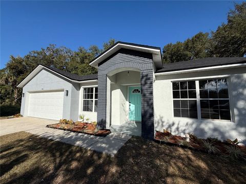 A home in MOUNT DORA