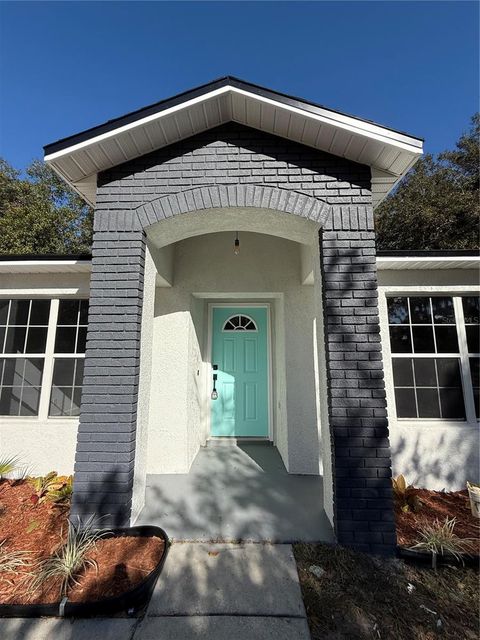 A home in MOUNT DORA