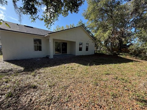 A home in MOUNT DORA