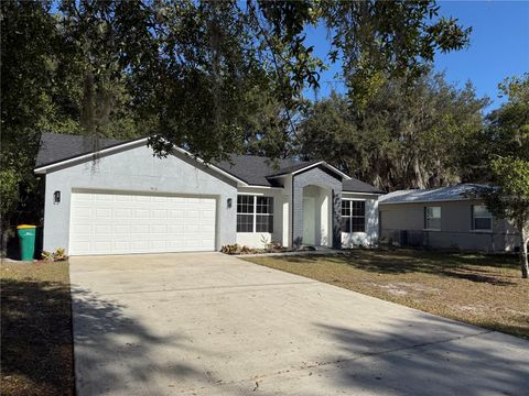 A home in MOUNT DORA