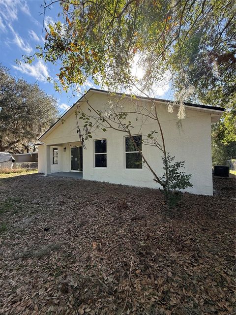 A home in MOUNT DORA