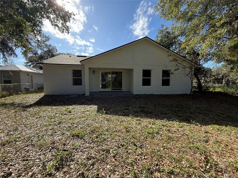 A home in MOUNT DORA