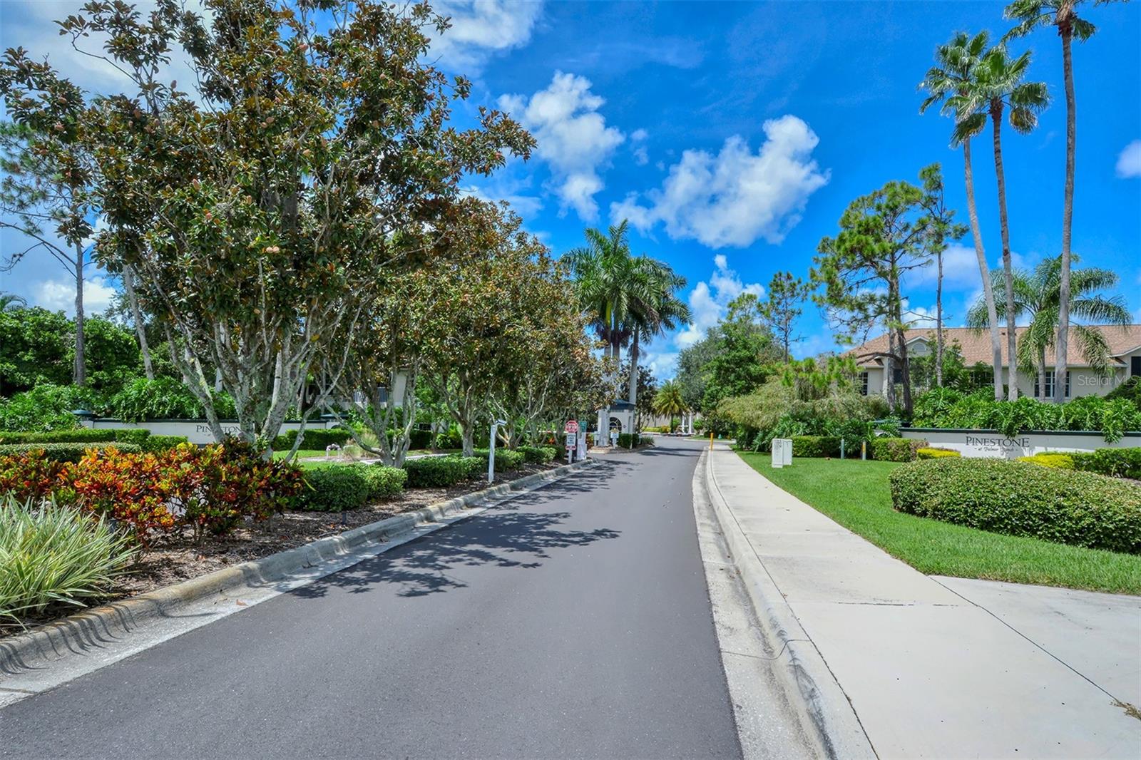 PINESTONE AT PALMER RANCH - Residential