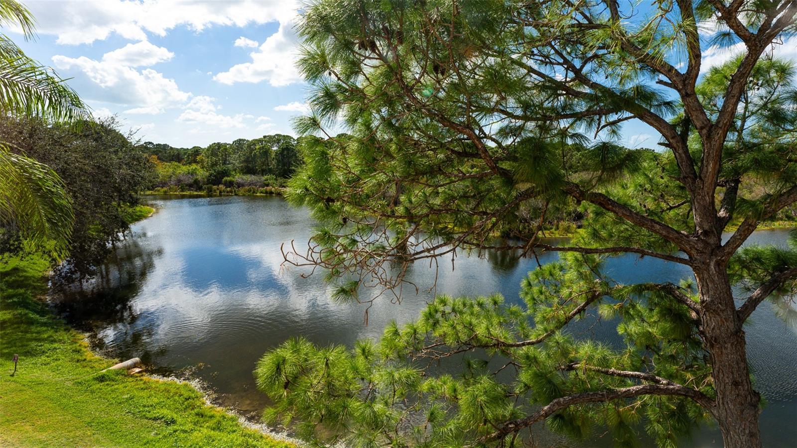 PINESTONE AT PALMER RANCH - Residential