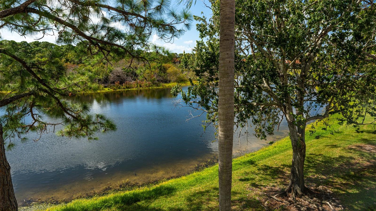 PINESTONE AT PALMER RANCH - Residential
