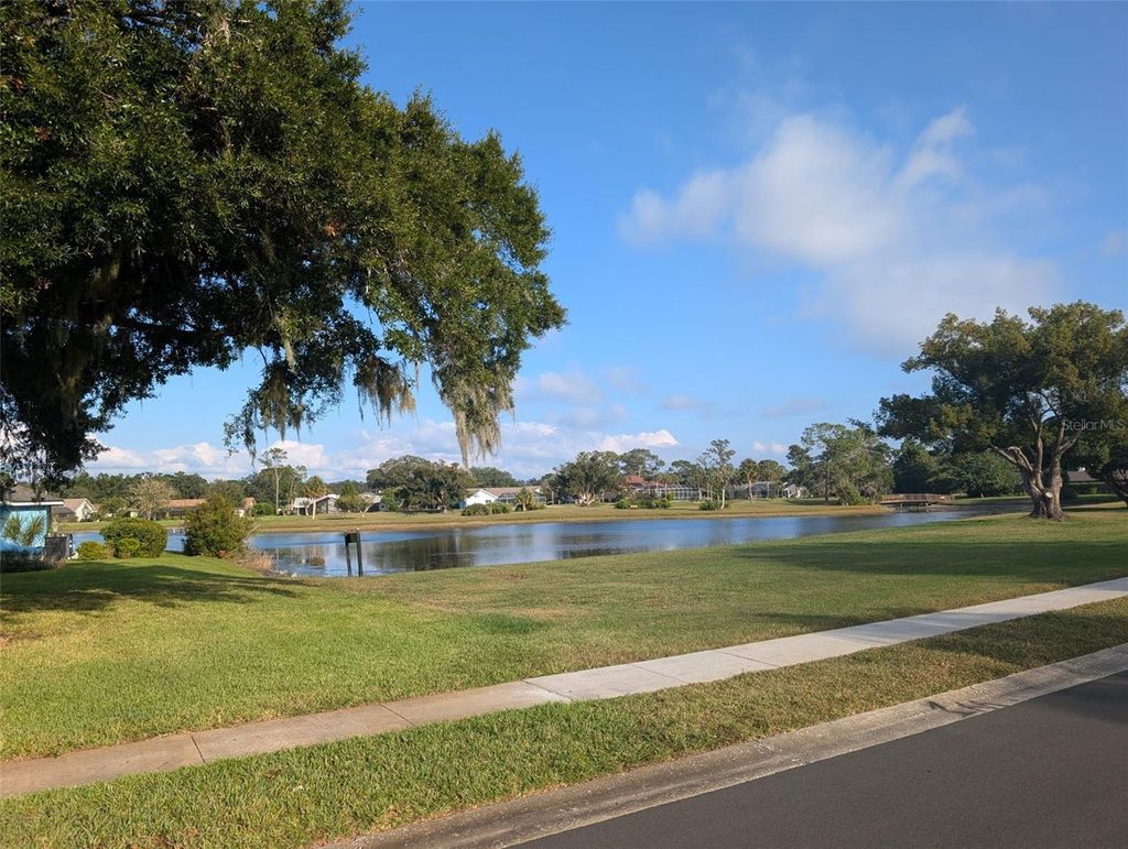 Photo of 4469 Lake In The Woods Drive, Spring Hill, FL 34607 (MLS # TB8440756)