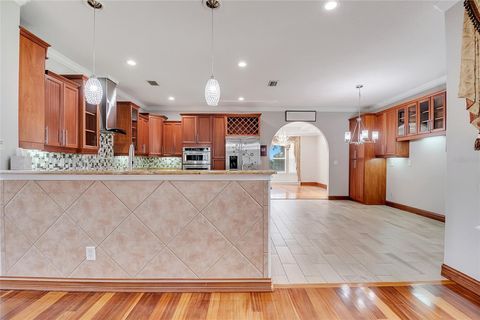 Tiny photo for 18147 Coralwood Lane, Groveland, FL 34736 (MLS # S5135604)